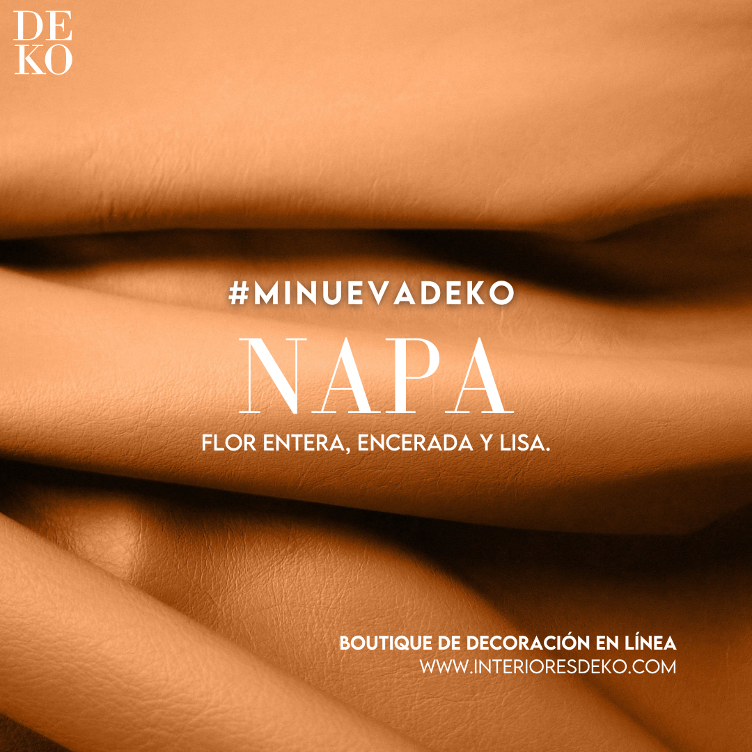 Catálogo para Tapizar con Envío Gratis