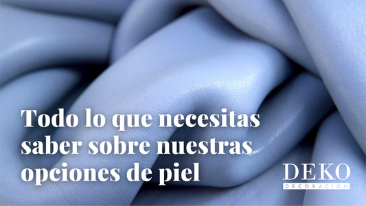 guia-definitiva-piel-para-sala